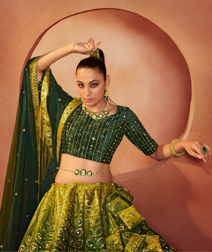 Green Embroidered Velvet Lehenga Choli Set